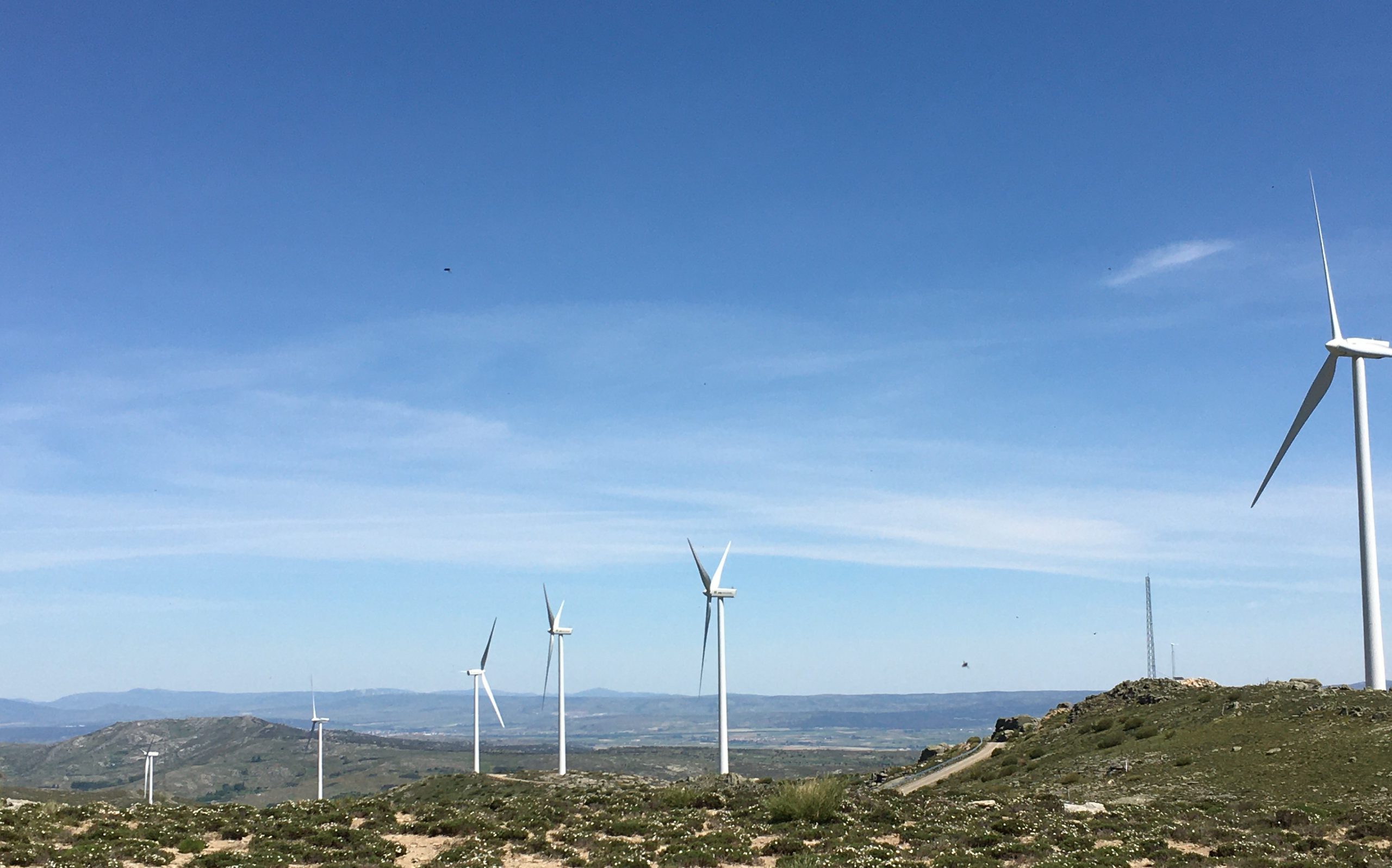 G-advisory advises Finerge in the purchase of 7 operational wind farms located in Spain