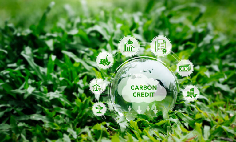Disputas en el marco del sistema de bonos de carbono