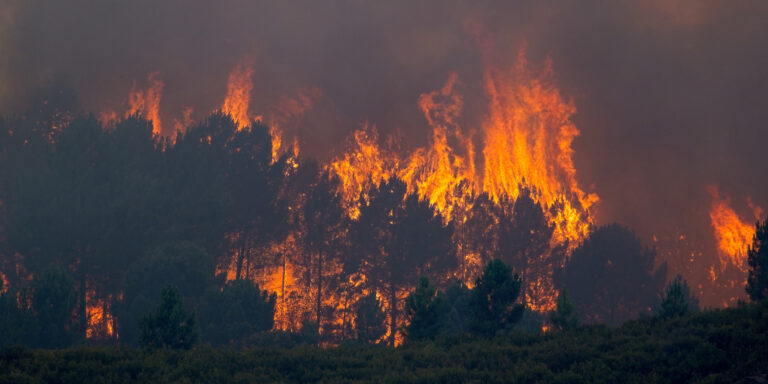 El TSJ de Galicia refuerza la protección de los derechos fundamentales frente a la degradación ambiental